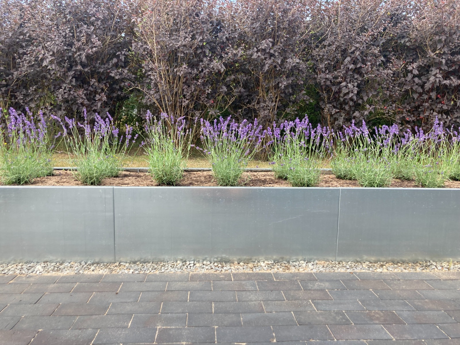 Højbed i galvaniseret stål | B40 H40 | L40 cm