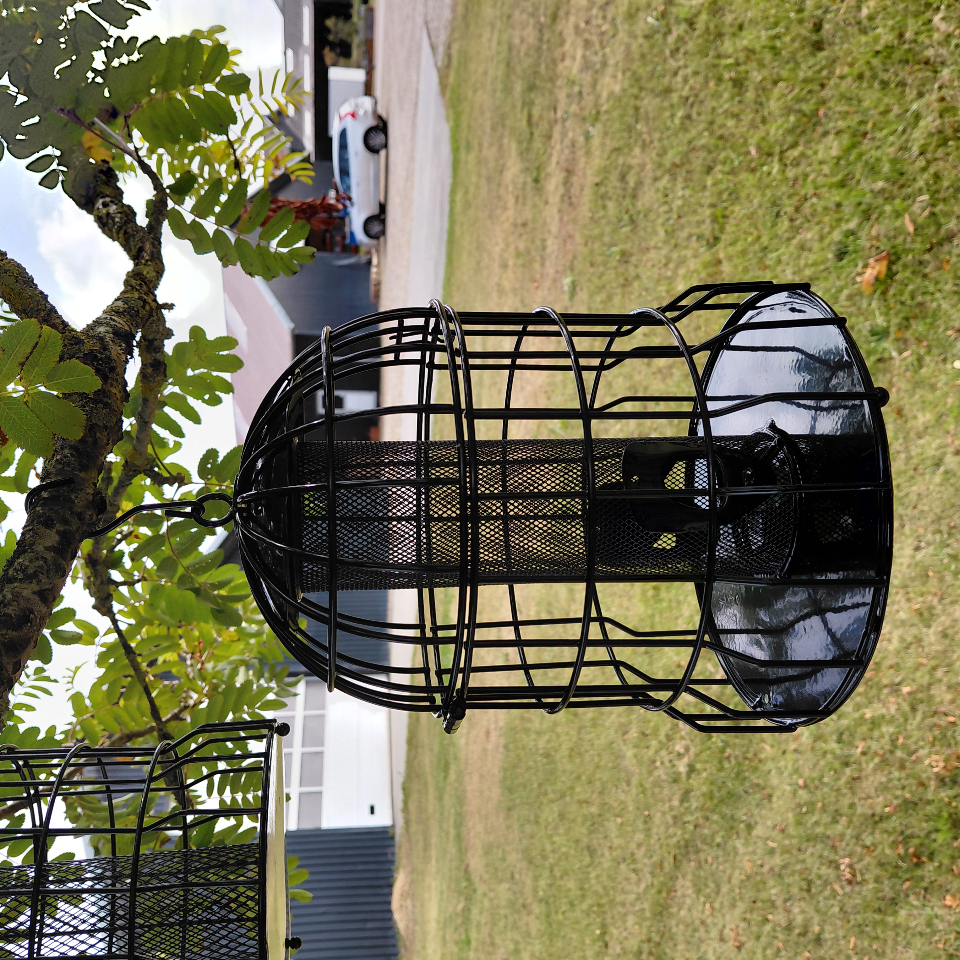 Beskyttende foderklokker | 3 i sættet