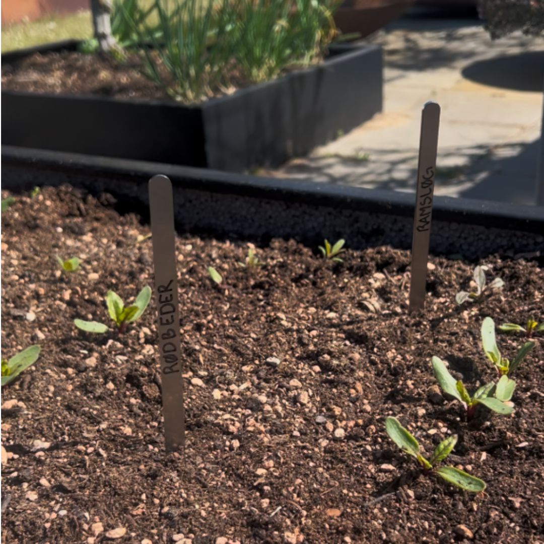 Smal lige planteskilt 18 x 1 cm - rustfri