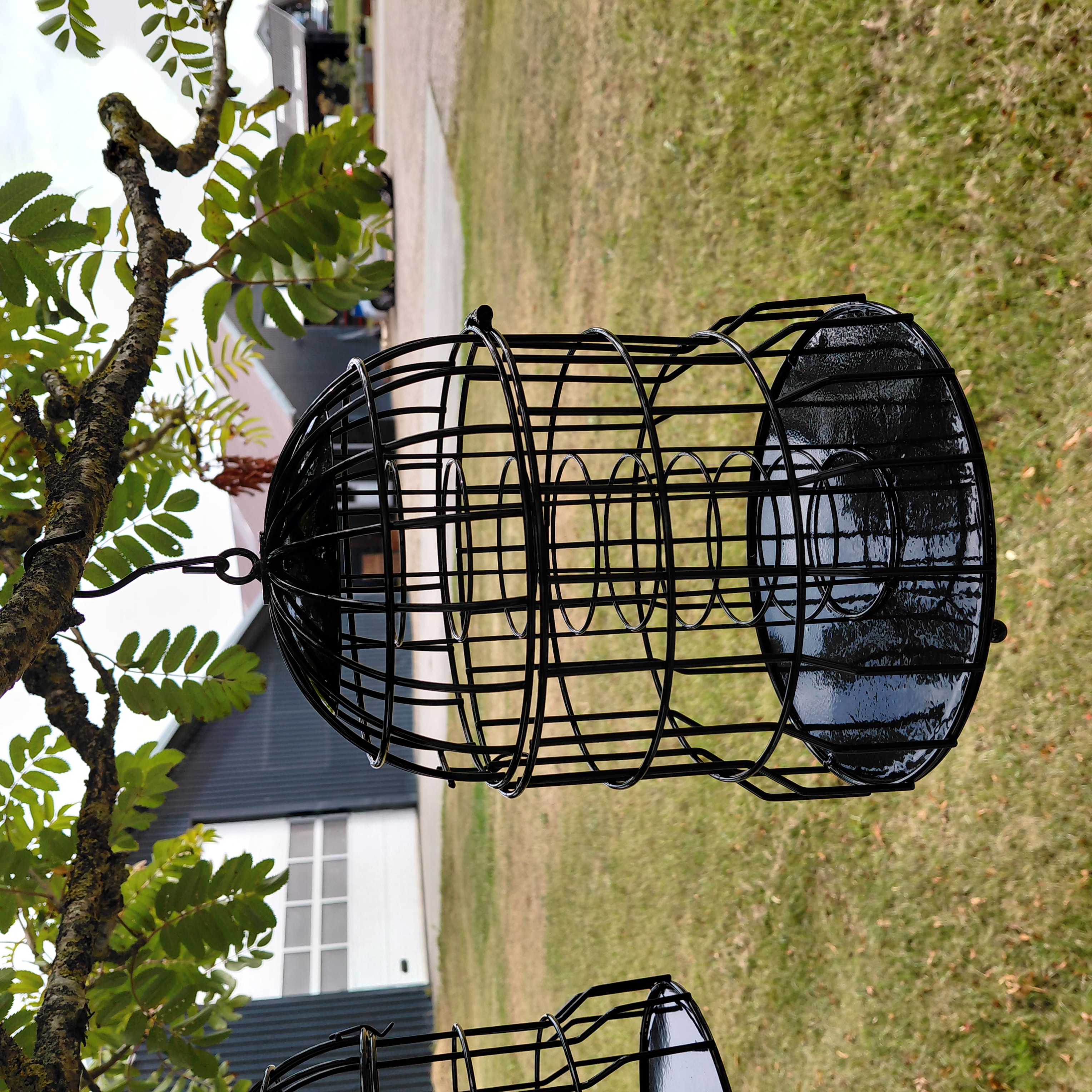 Beskyttet foderklokke | Mejsekugler