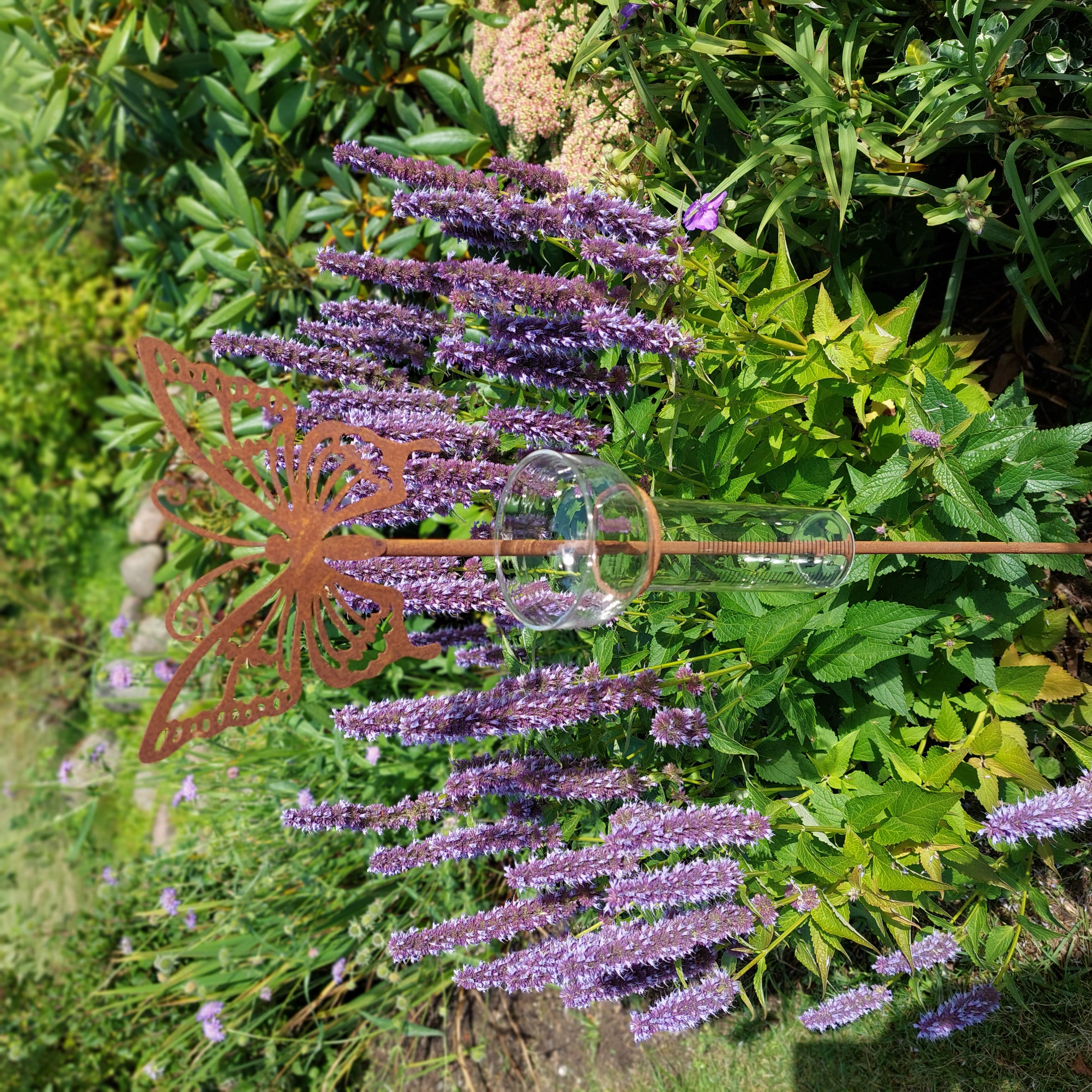 Regnmåler med sommerfugl