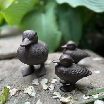 Andemor med 2 ællinger