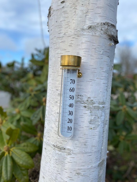 Regnmåler snoet med filter messing