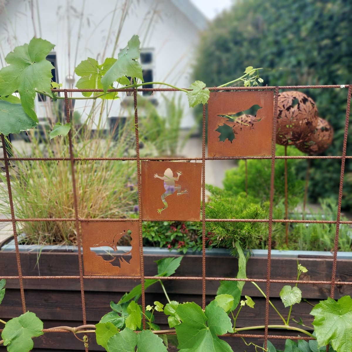 Dekorationer til rionet