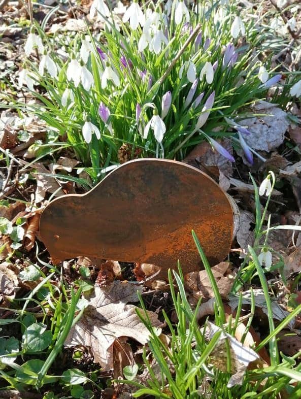 Figur i jern - Kylling prikker i jorden