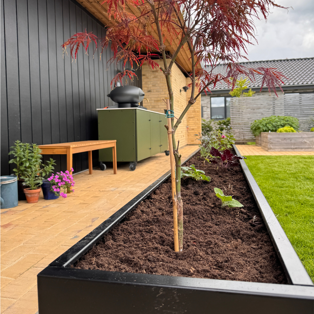 Højbed i sort | B40 H40 | L40 cm