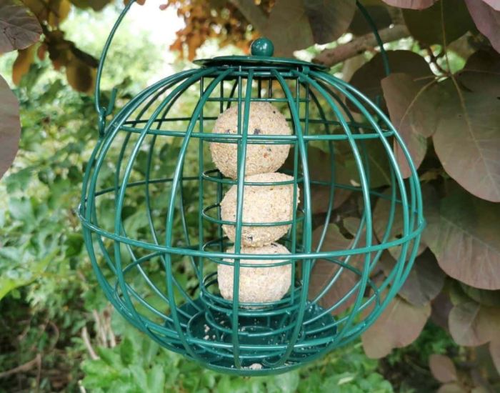 Beskyttet fodringssæt