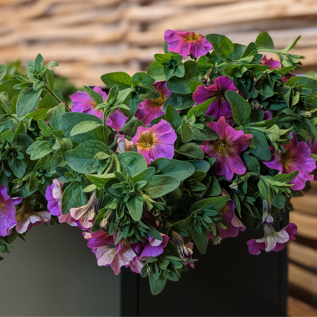 Sort plantekasse | 120 x 40 x 40 cm