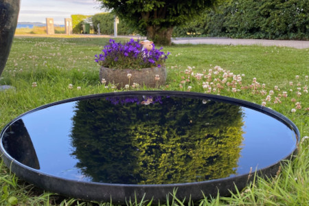 Sort_spejlbassin_i_haven_450x300