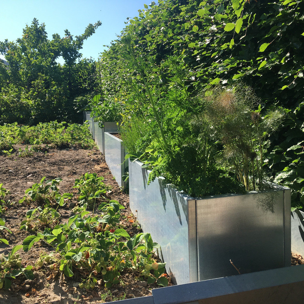 Højbed i galvaniseret stål | B40 H40 | Flere længder