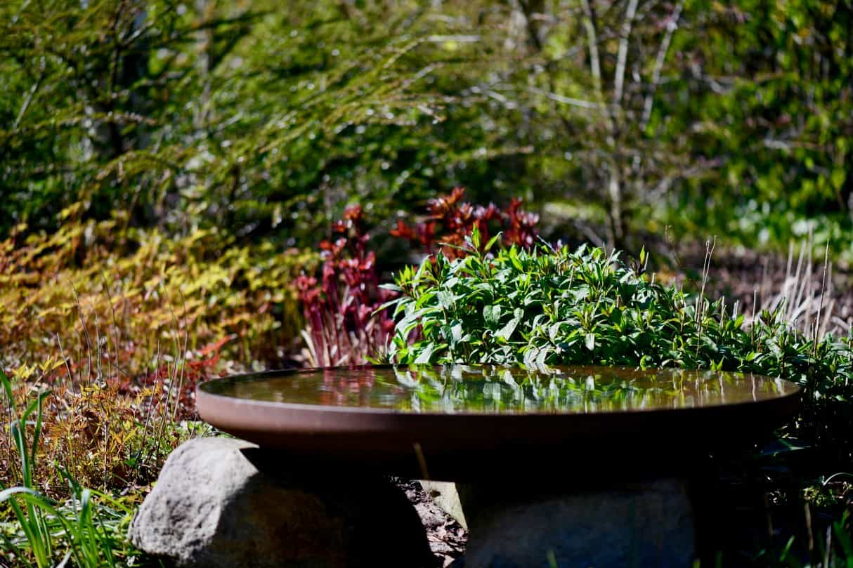 Rundt spejlbassin natur/ rust.