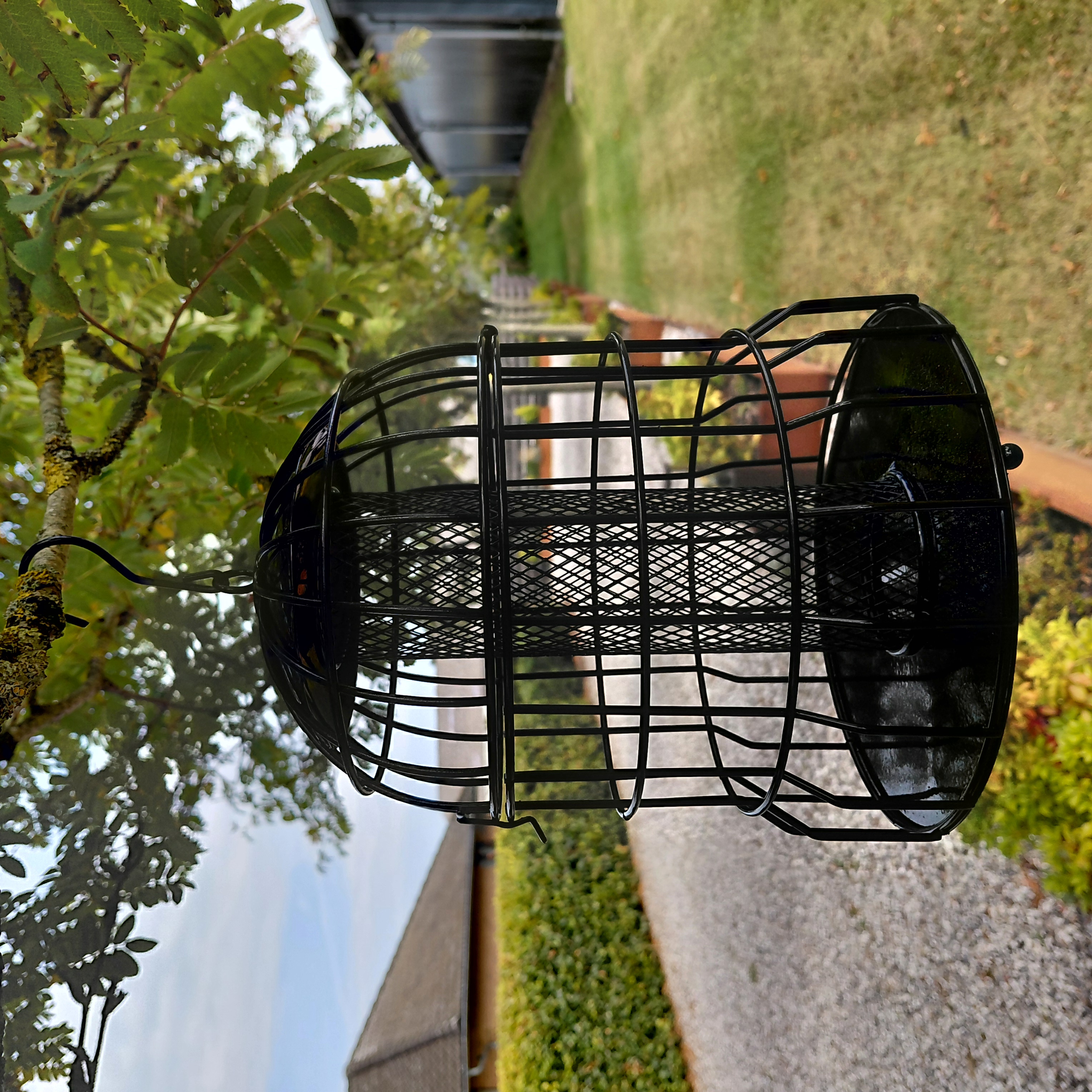 Beskyttet foderklokke | Nødder