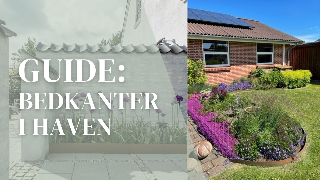 Blog_Banner_for_Website_Content_1