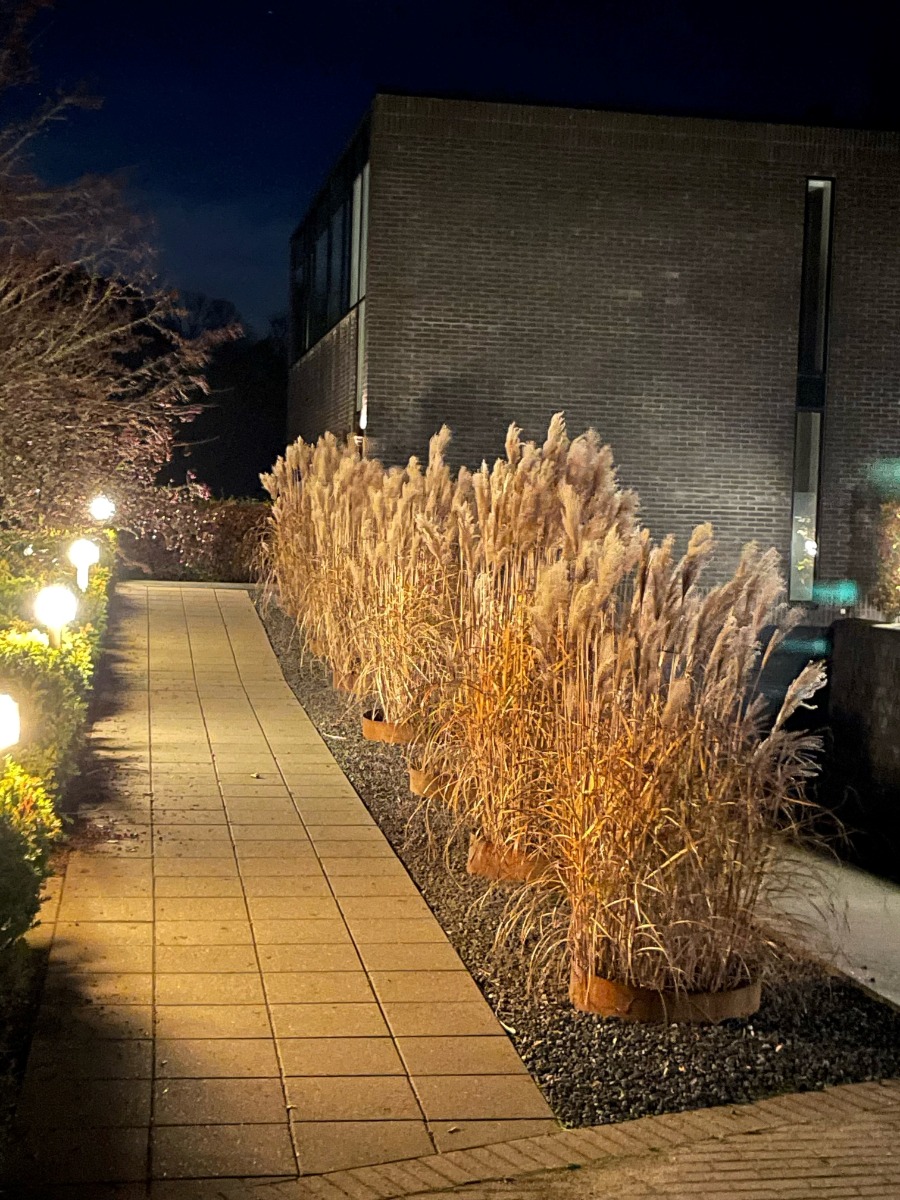 Rundt højbed Ø70, 20 cm høj | 2 mm cortenstål | Åben