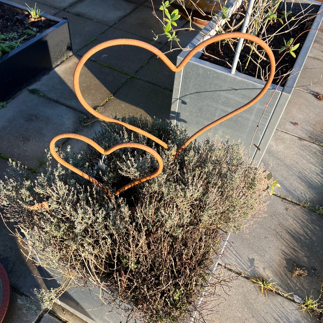 Hjerter på spyd | sæt med 2 størrelser