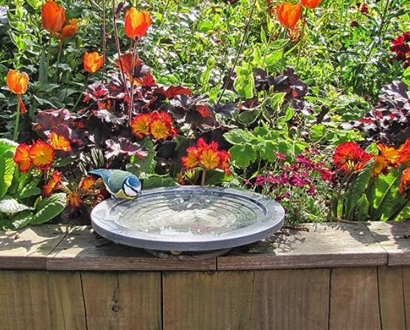 Aristoteles Oasis lille fuglebad