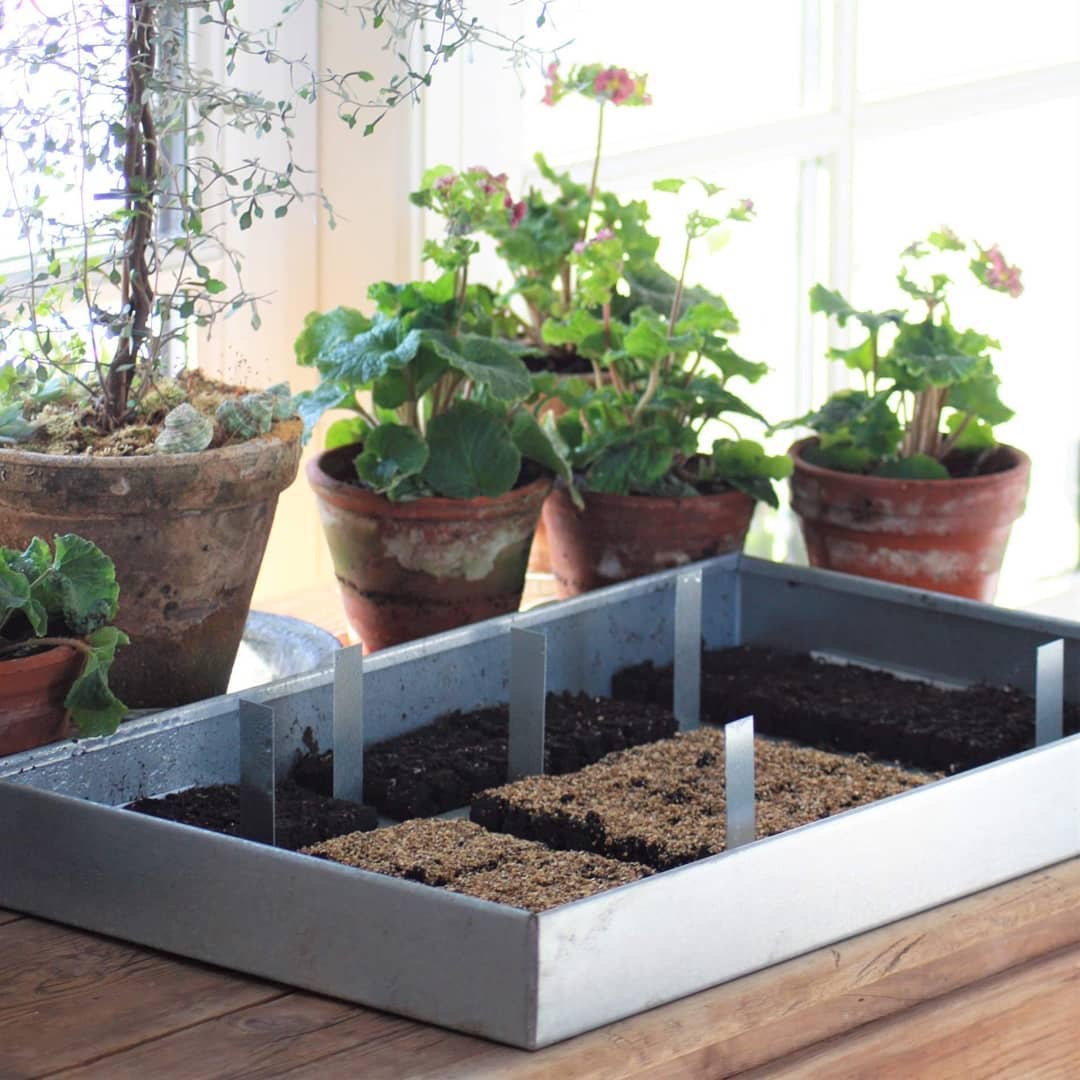 Zinkbakke 49 x 30 x 4 cm