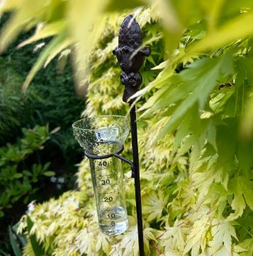 Regnmåler Grankogle