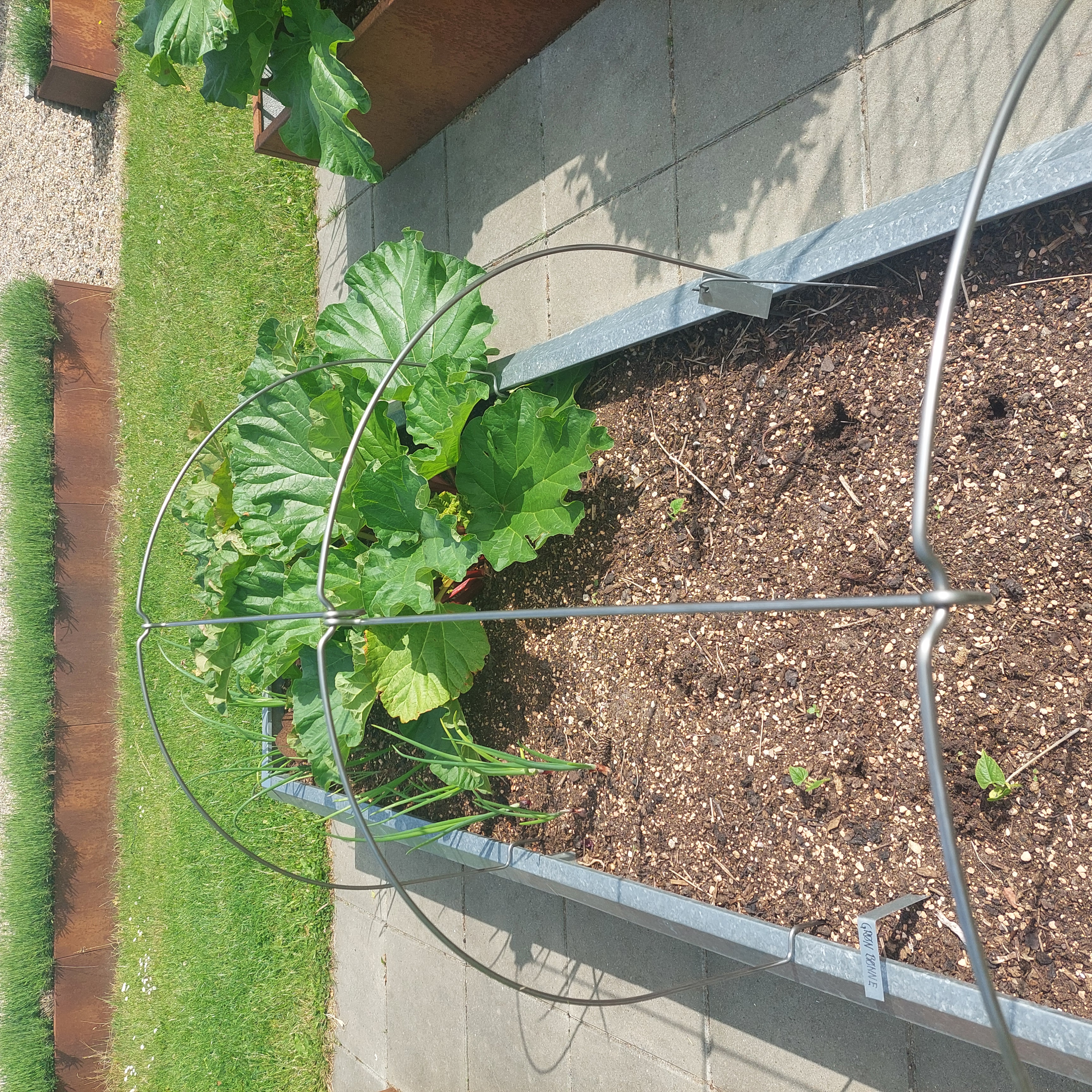 Buer til væksttunnel | 120 cm Bred