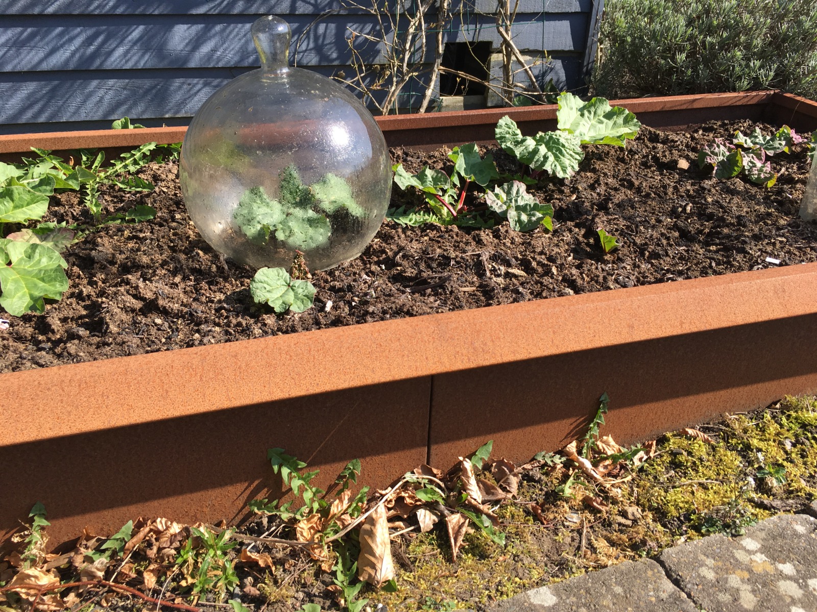 Sneglekantssæt til højbed | Jern