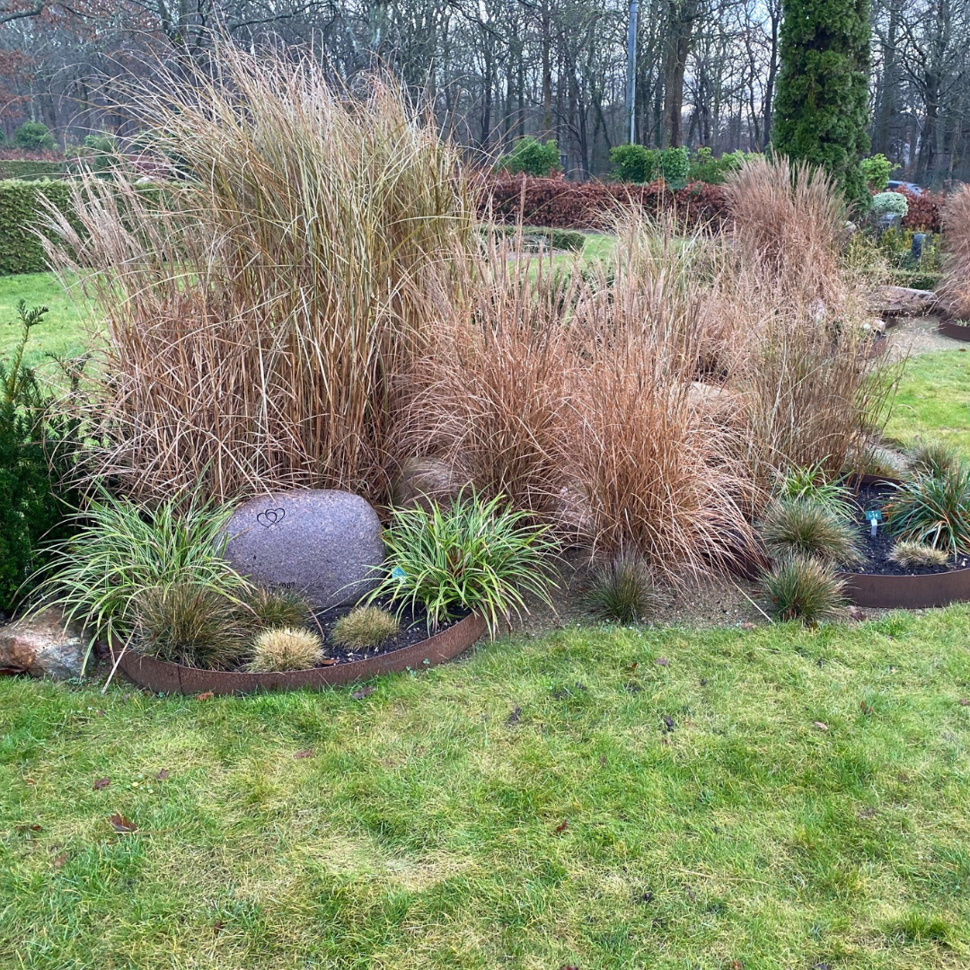 Spejlbassin i corten Ø150 med runde højbede | Flere størrelser