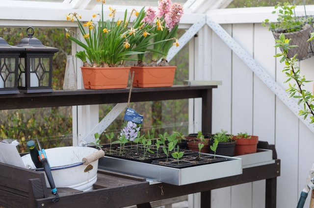 Zinkbakke  53,5 x 31,5 x 5,5 cm