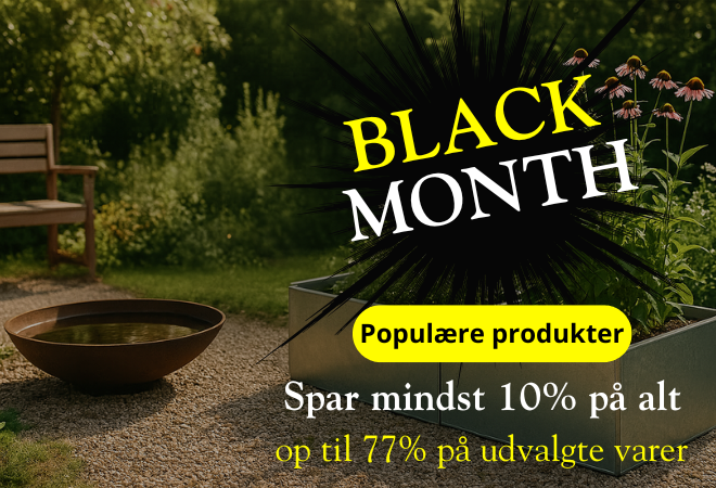 BM 2025  Desktop_(1)