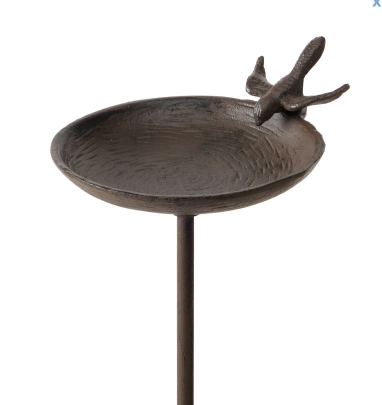 Fuglebad på spyd | Svale på kanten