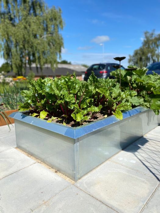 Krydderurtehaven Galvaniseret | 40 x 40 cm