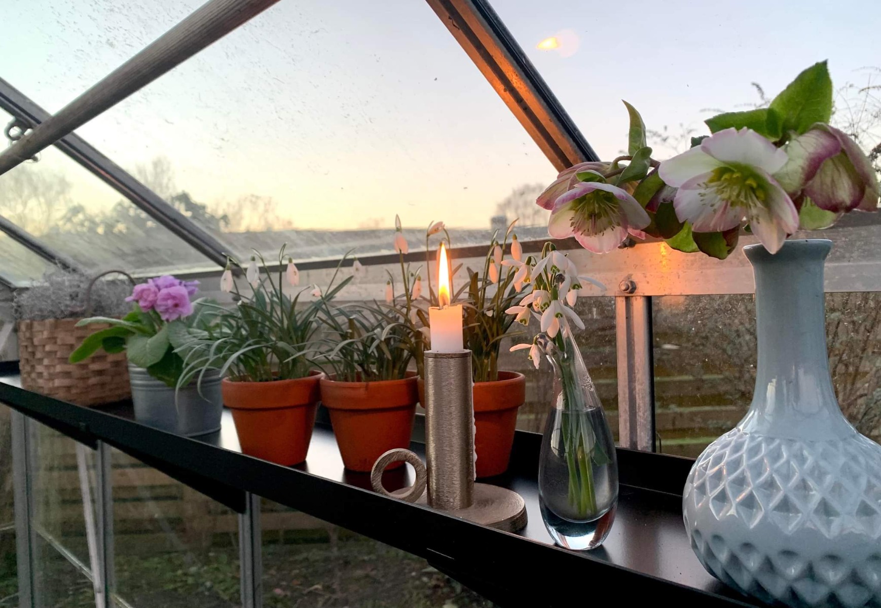 Drivhushylder Sort pulverlakerede | Flere varianter | Højde 3 cm