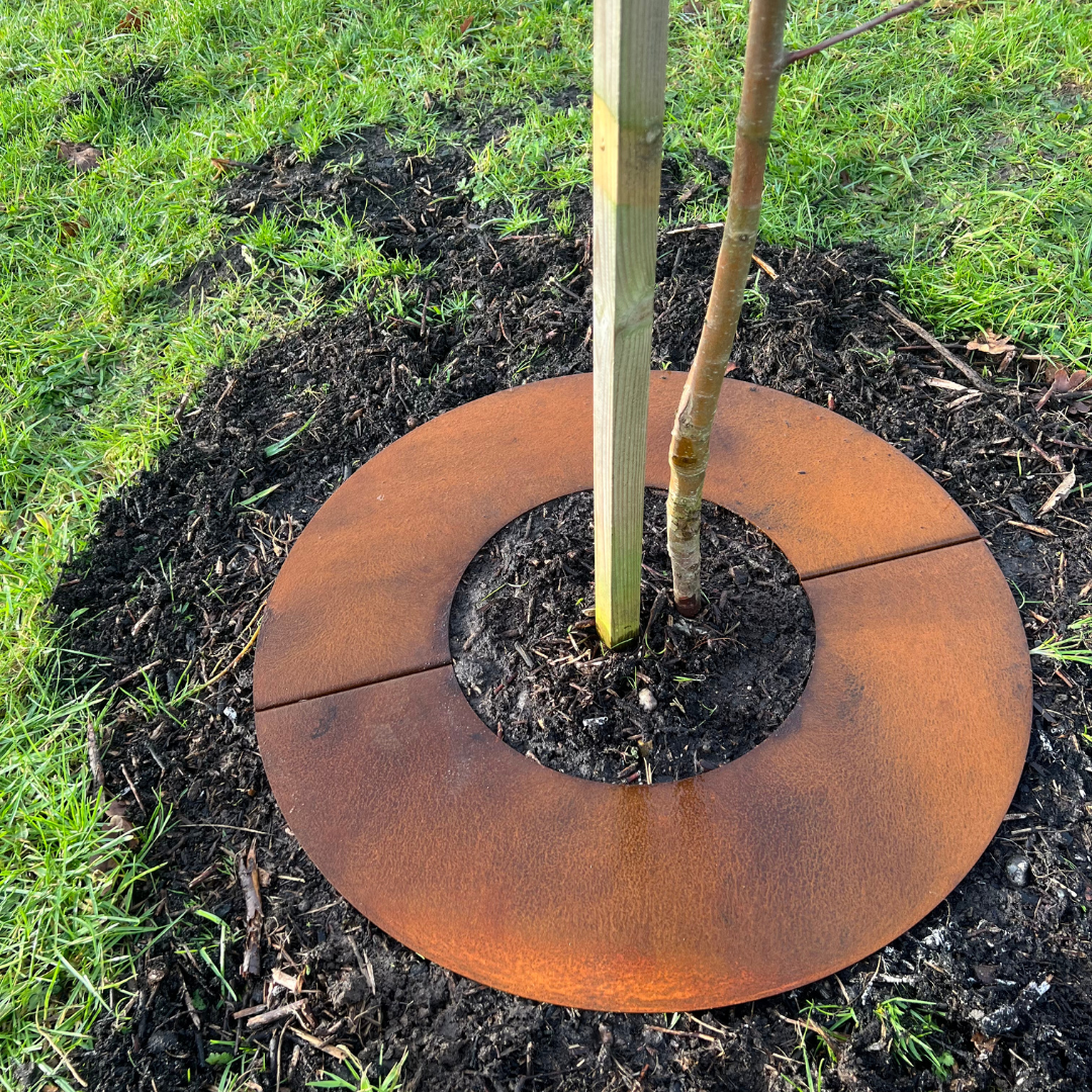 Bedafgrænsninger til træ - Ø62