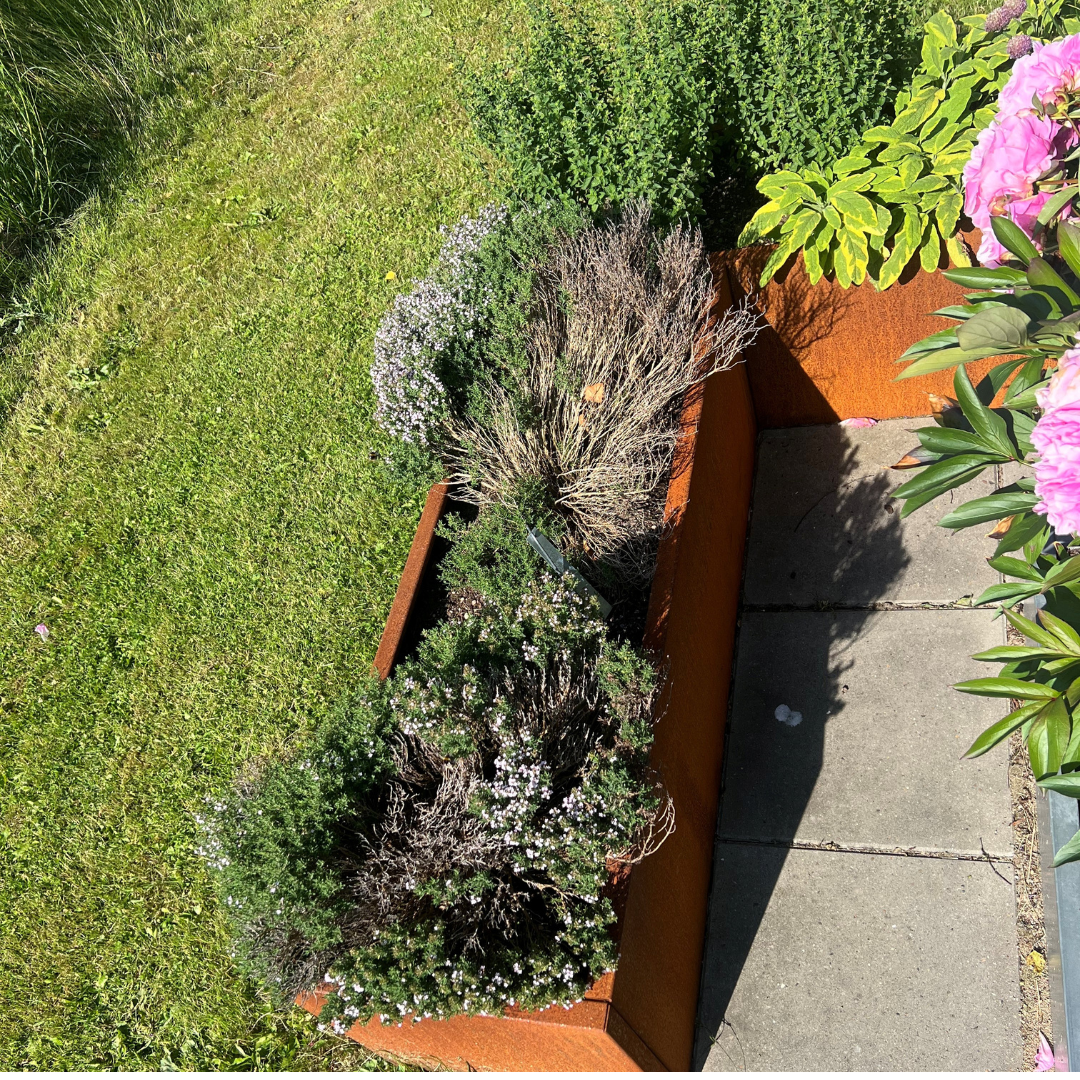 Hjørne højbed i corten | B40 H40 | L157x157 cm