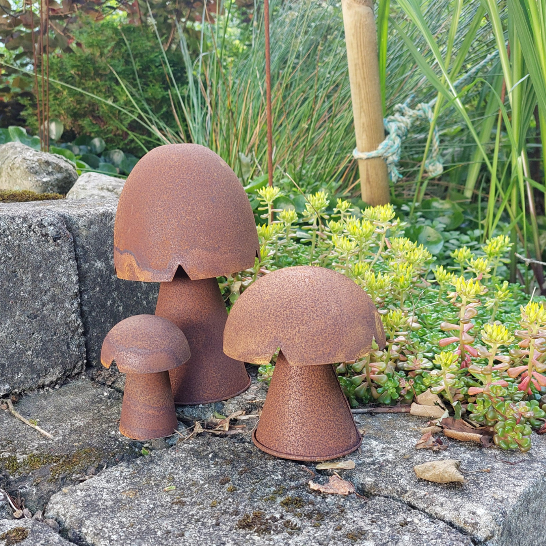 Svamp stående mellem