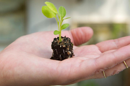 Soilblocker_forspiring_450x300_2