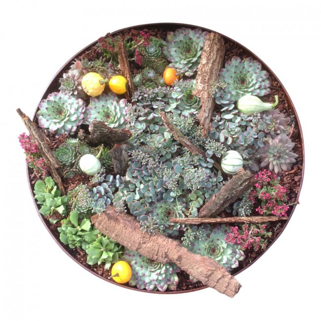 Plantefad, plantekumme med høj kant Ø120 eller Ø150